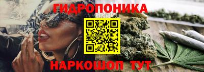 крисы Ливны