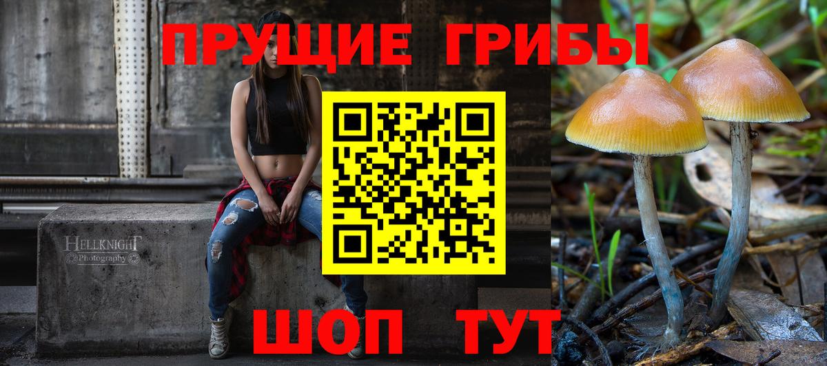 Юрга  Галлюциногенные грибы MAGIC MUSHROOMS  Псилоцибиновые грибы MAGIC MUSHROOMS  Вход с VPN 